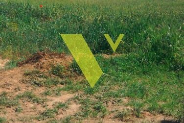 Land in Voula, Attica, Greece 2 - 17977190