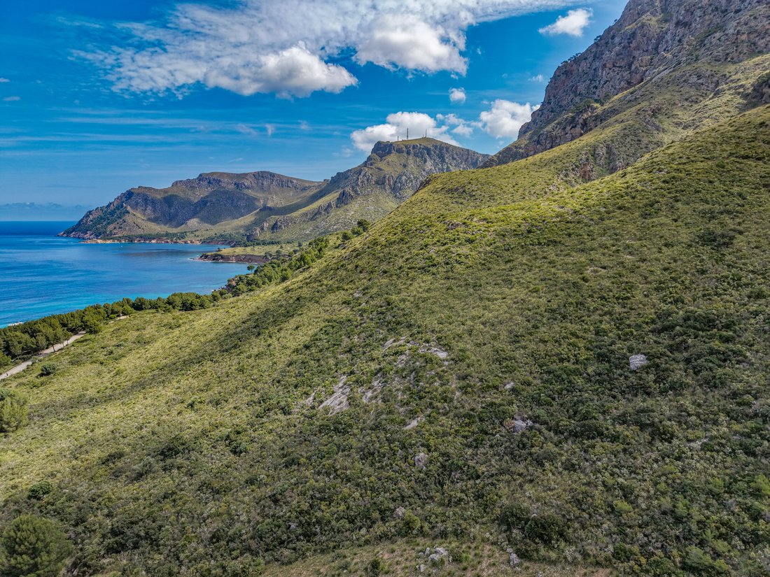 Land in Colonia de Sant Pere, Arta, Balearic Islands 3 - 17976394