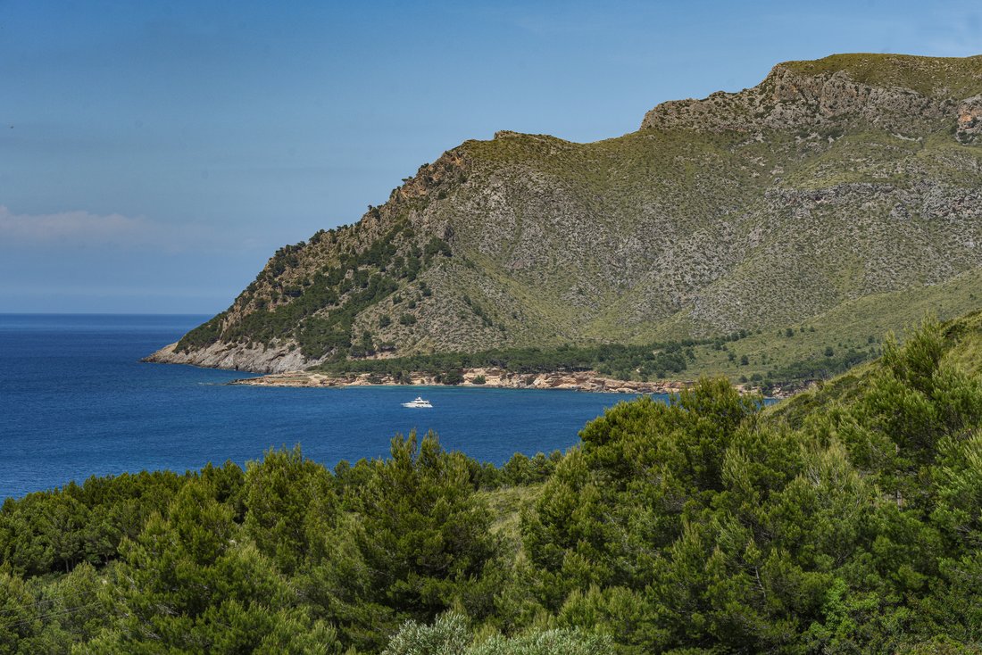 Land in Colonia de Sant Pere, Arta, Balearic Islands 4 - 17976394