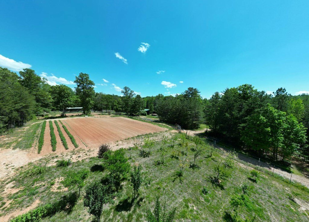 House in Blairsville, Georgia, United States 5 - 17102497