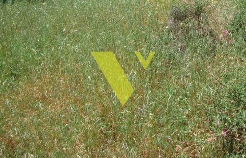 Land in Voula, Attica, Greece 1 - 17976498