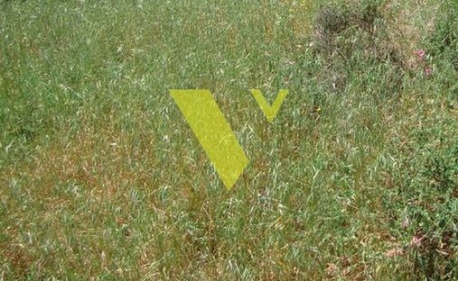 Land in Voula, Attica, Greece 1