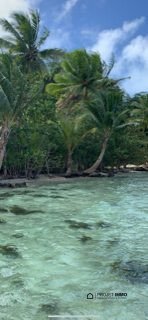 Land in Taiarapu-Ouest, Windward Islands, French Polynesia 2 - 13342371