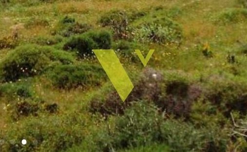 Land in Vari, Attica, Greece 1