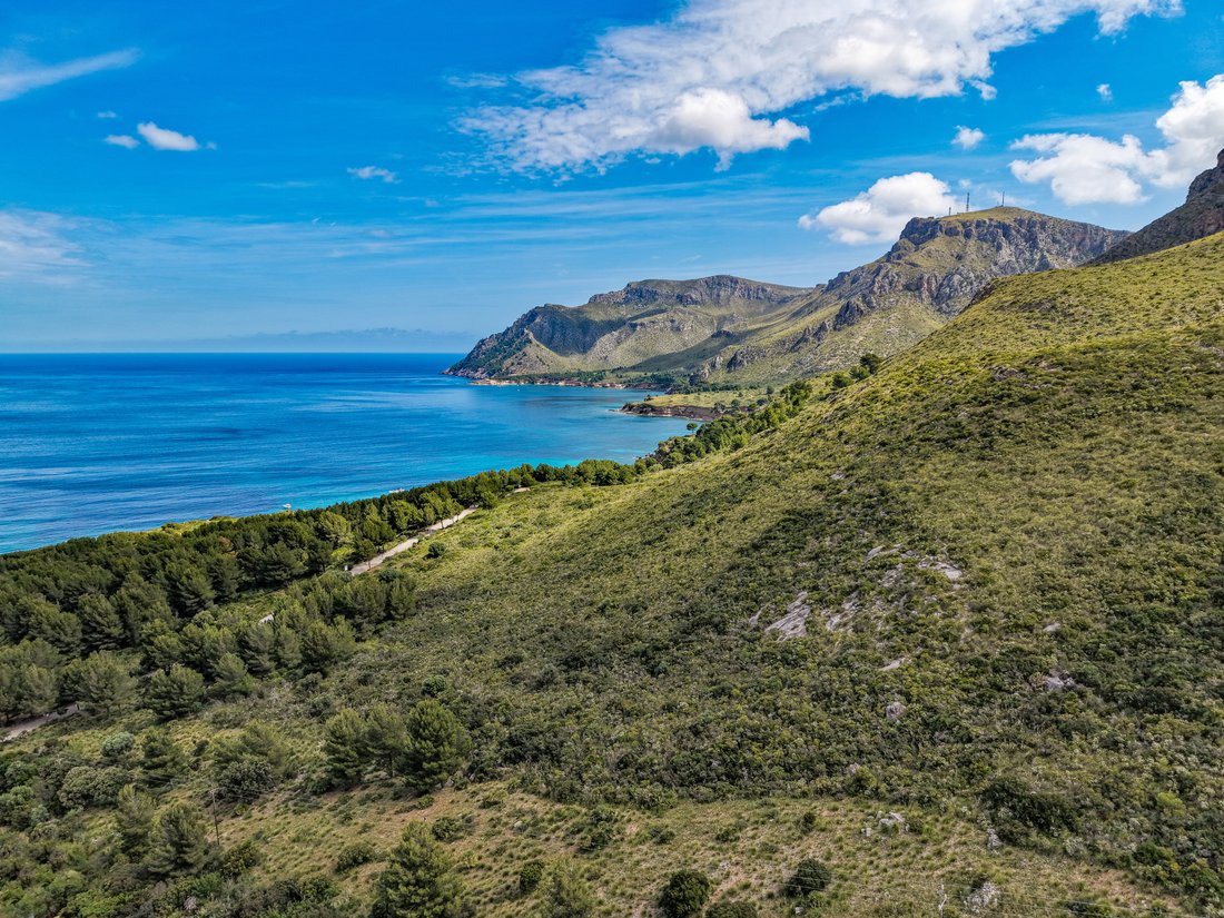 Land in Colonia de Sant Pere, Arta, Balearic Islands 2 - 17976394