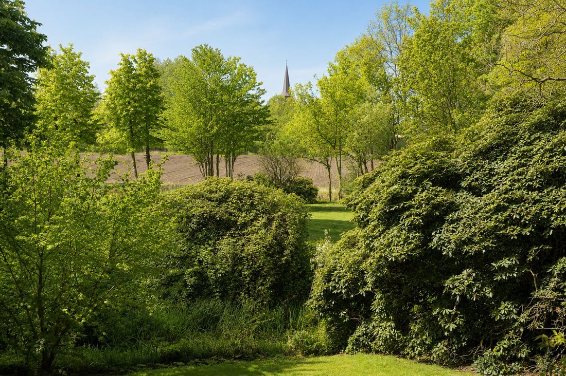 Estate in Moergestel, North Brabant, Netherlands 4 - 17976779