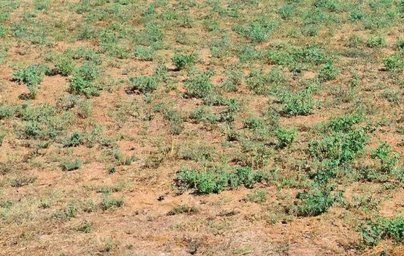 Land in Vari, Attica, Greece 2 - 17976126