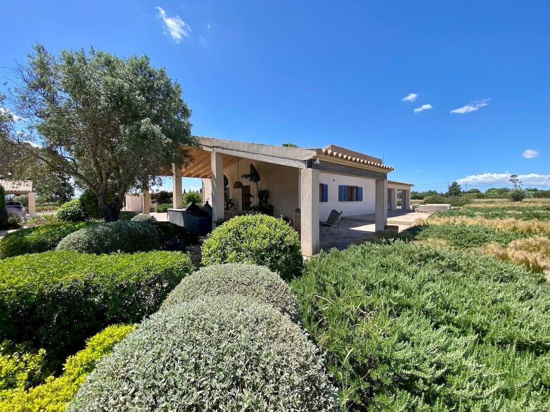 Chalet in Binissalem, Balearic Islands, Spain 3 - 17978260