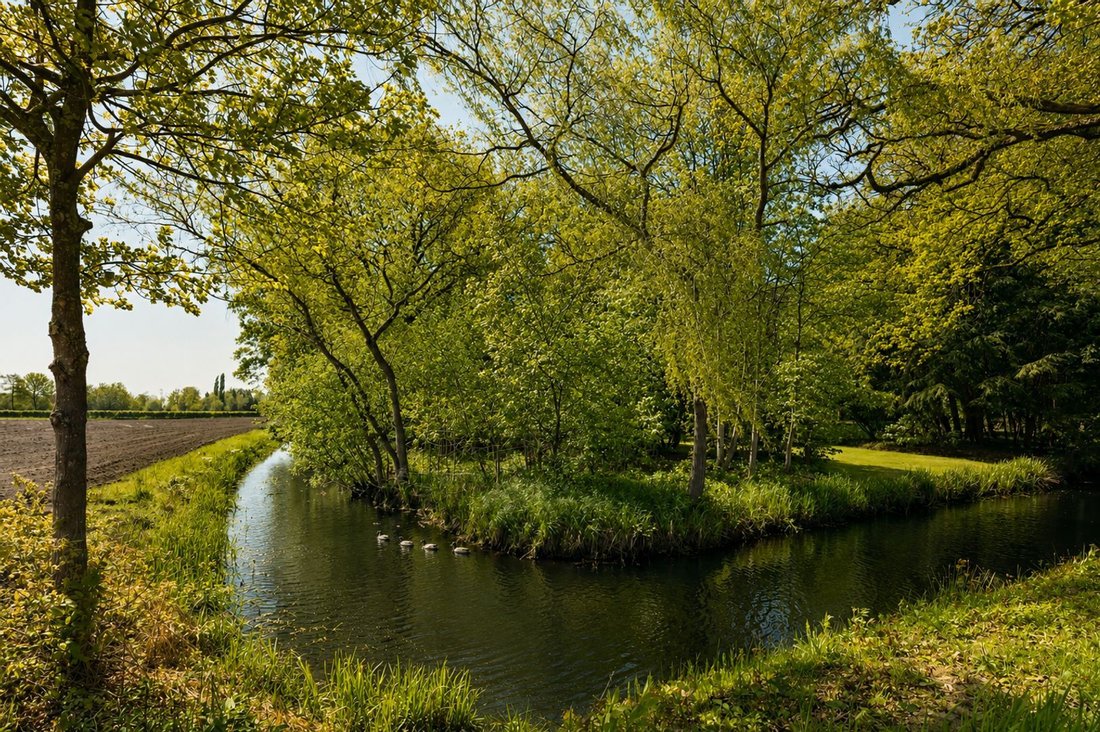 Estate in Moergestel, North Brabant, Netherlands 5 - 17976779