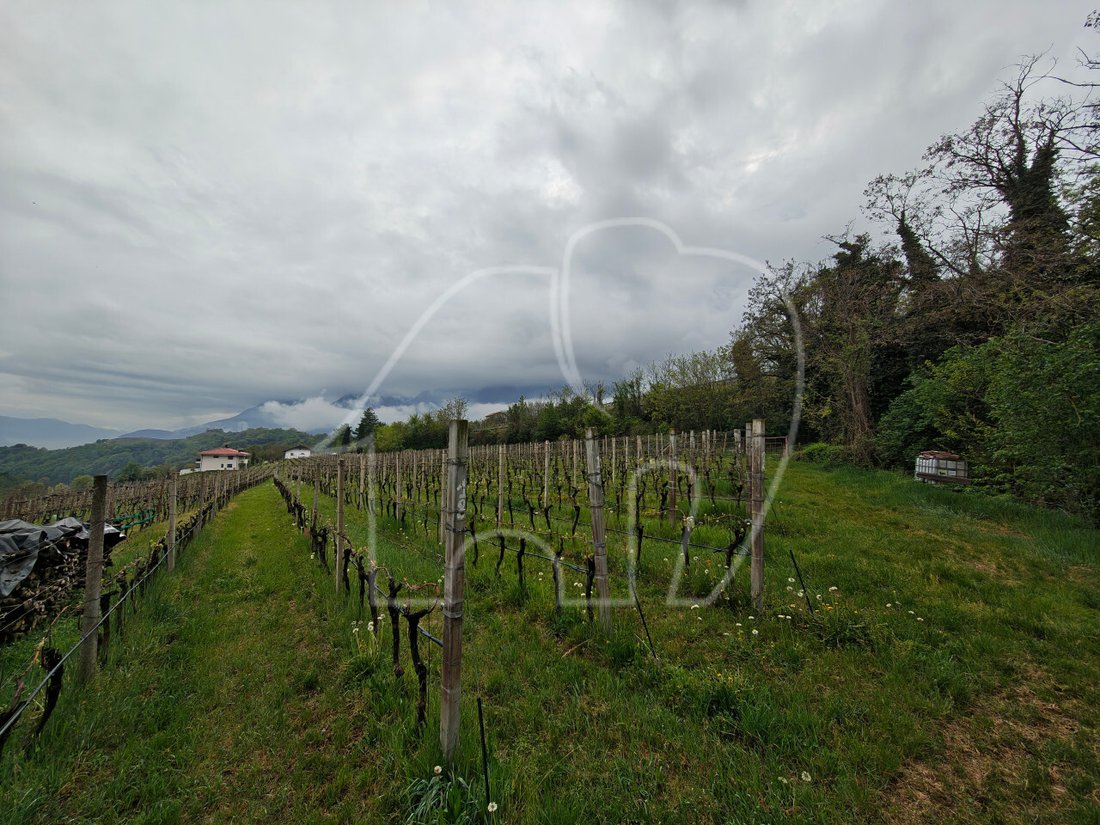 Land in Kaltern / Kaltern an der Weinstraße, Trentino – Alto Adige/Südtirol, Italy 3 - 17980511