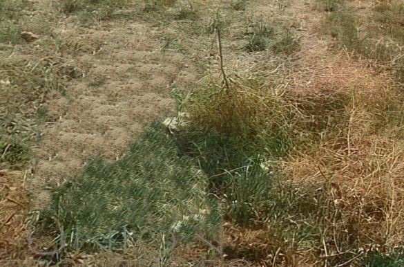 Land in Voula, Attica, Greece 2 - 17976100