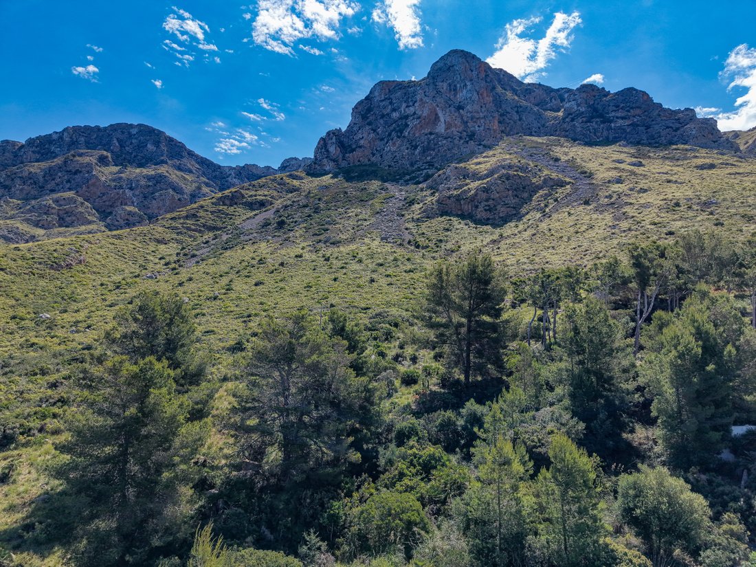 Land in Colonia de Sant Pere, Arta, Balearic Islands 5 - 17976394