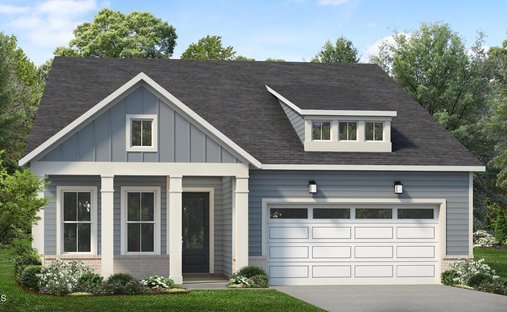 House in Holly Springs, North Carolina, United States 1