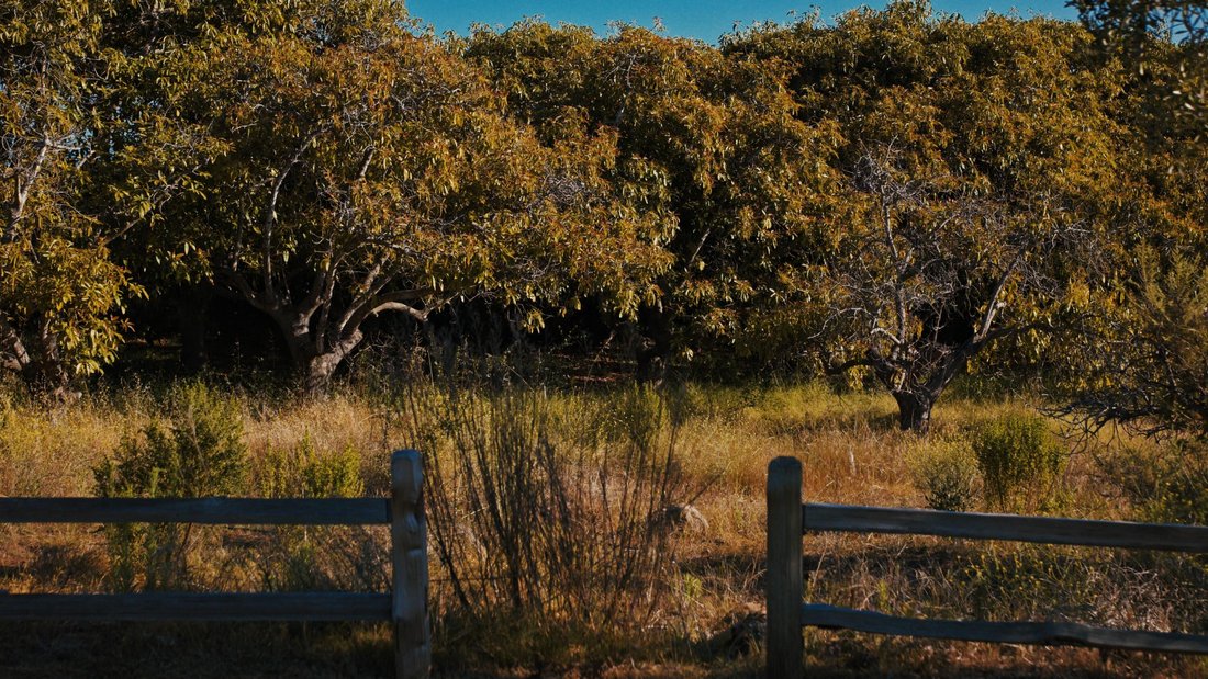 Land in Carpinteria, California, United States 2 - 17980978