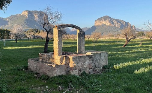 Terreno a Alaró, Isole Baleari, Spagna 1