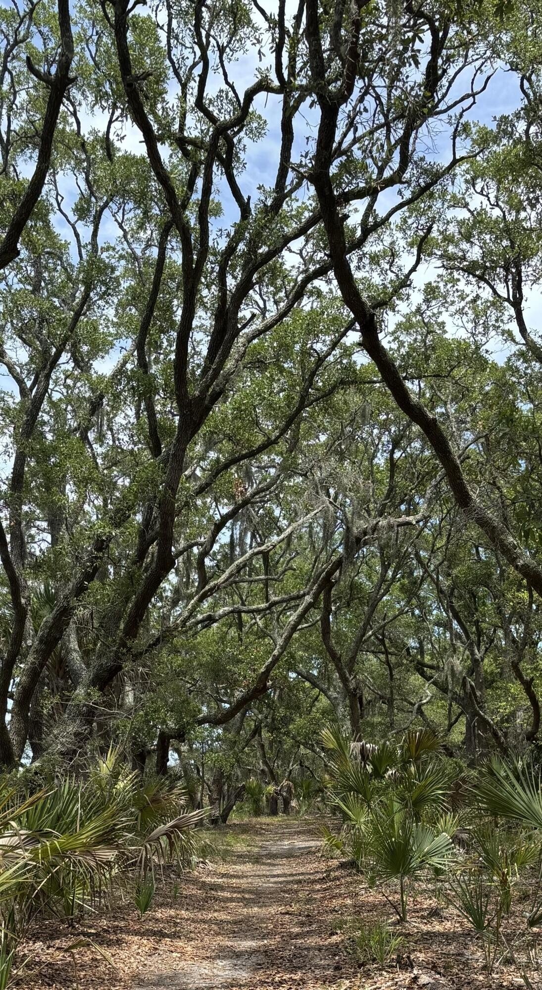 Land in Folly Beach, South Carolina, United States 2 - 17981249