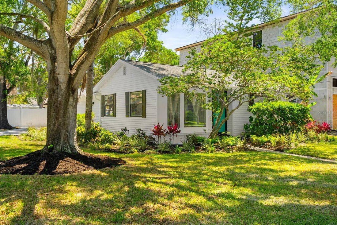 House in Tampa, Florida, United States 2 - 17979486
