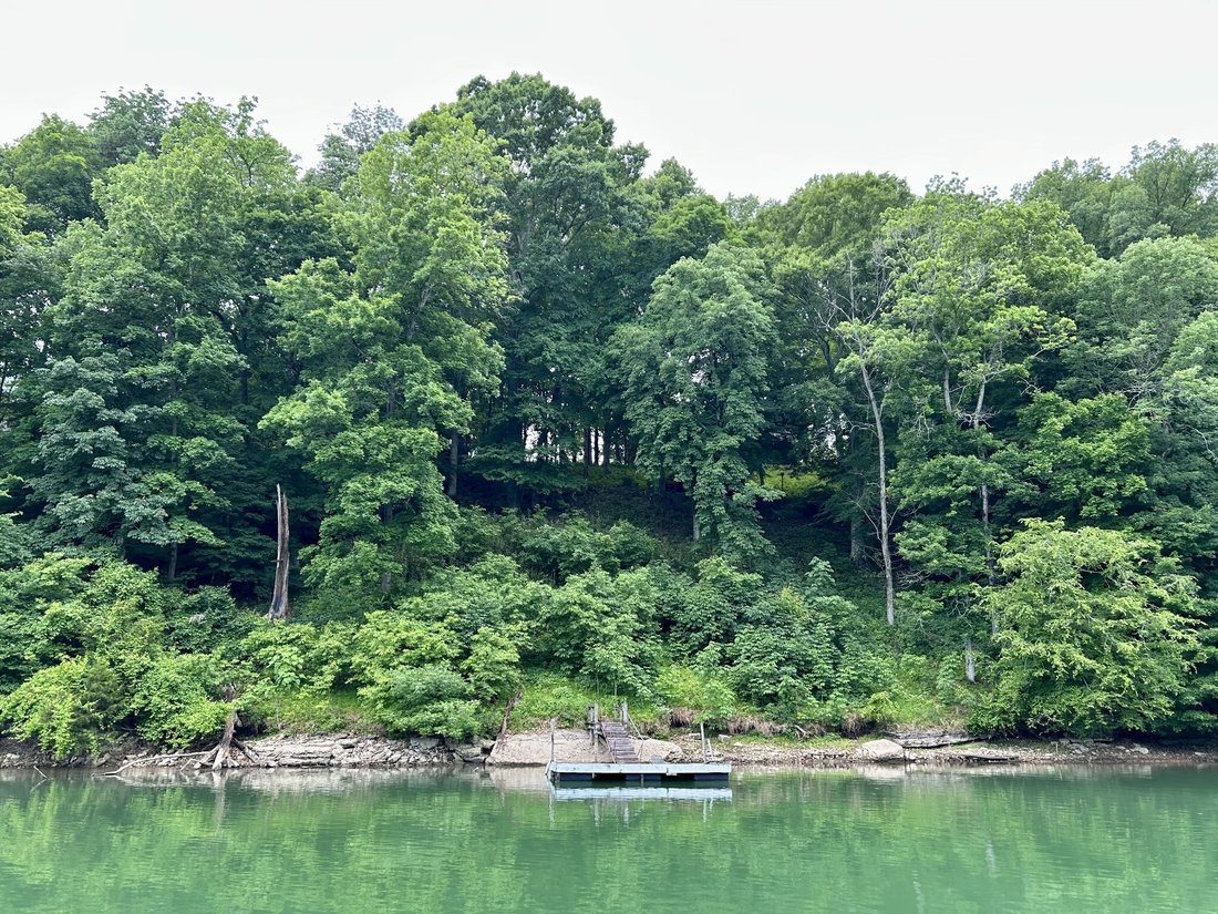 House in Lynchburg, Tennessee, United States 2 - 17979899