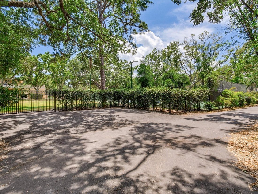 House in Tampa, Florida, United States 5 - 17979522