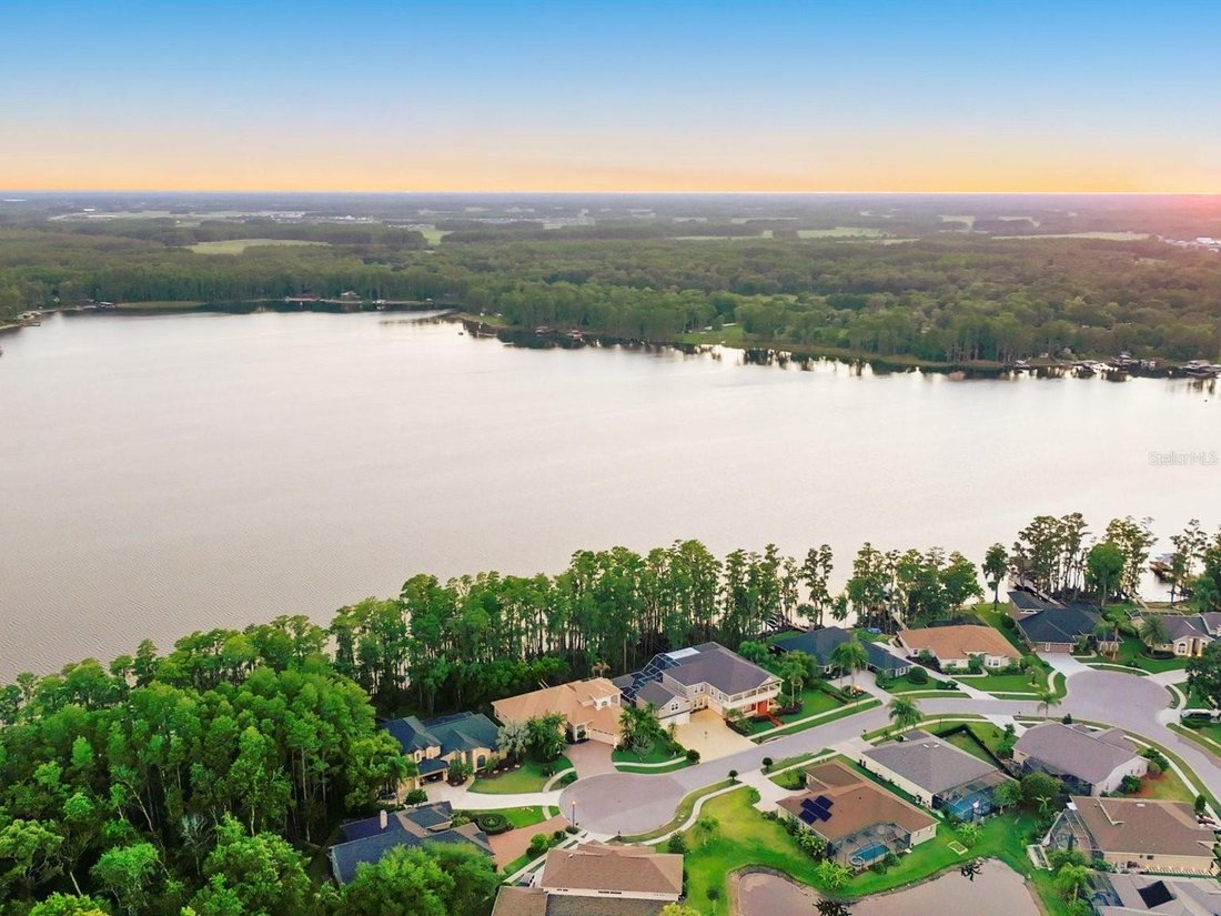 House in Land O' Lakes, Florida, United States 5 - 17979542
