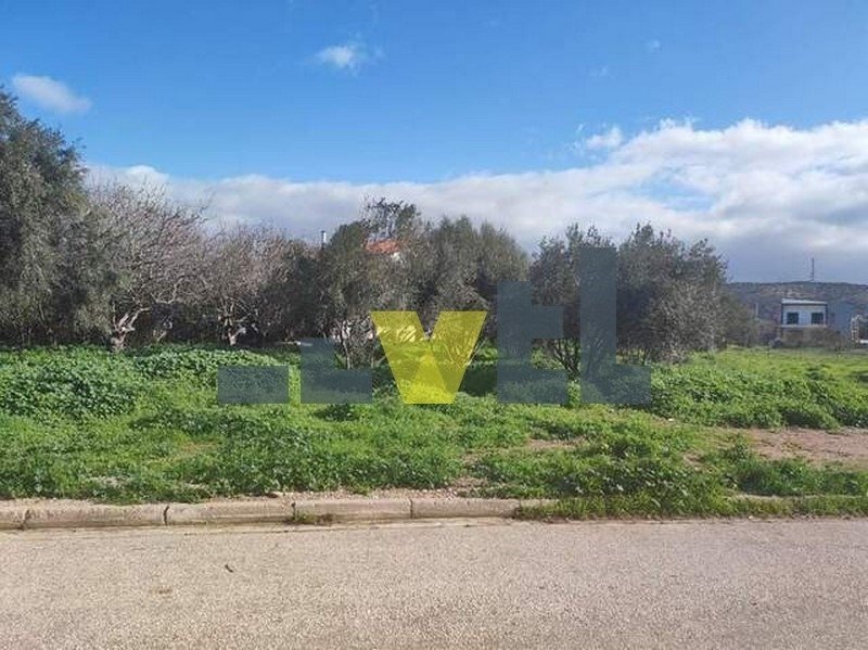 Land in Vari, Attica, Greece 1 - 17977085