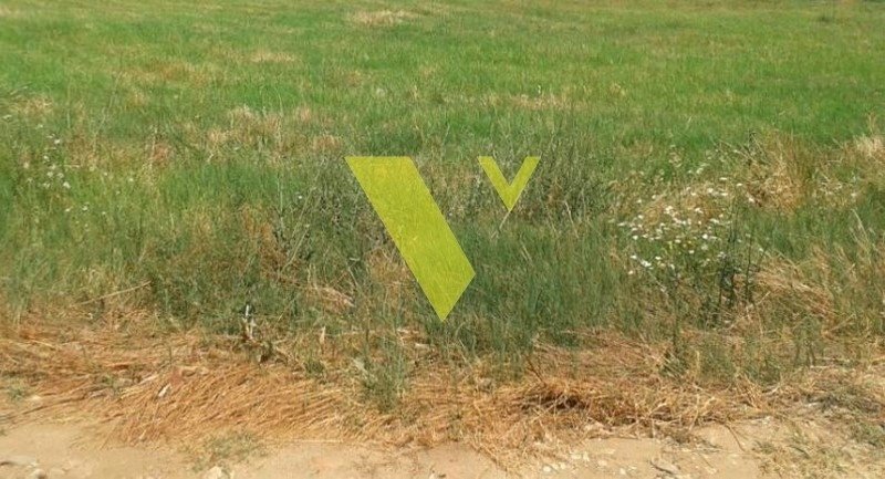 Land in Vari, Attica, Greece 1 - 17976896