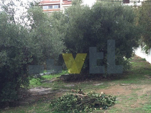 Land in Voula, Attica, Greece 1 - 17977207