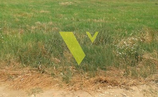 Land in Voula, Attica, Greece 1