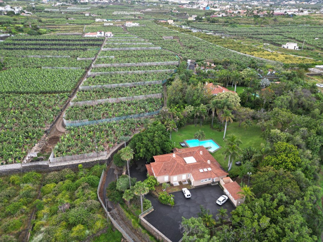 Villa in Puerto de la Cruz, Canary Islands, Spain 3 - 17981835