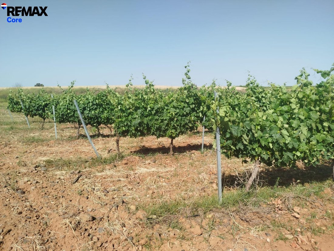 Land in Badajoz, Extremadura, Spain 3 - 17982028