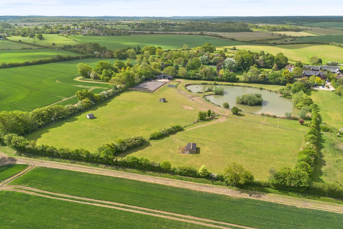 Sandon, England 2 - 17982473