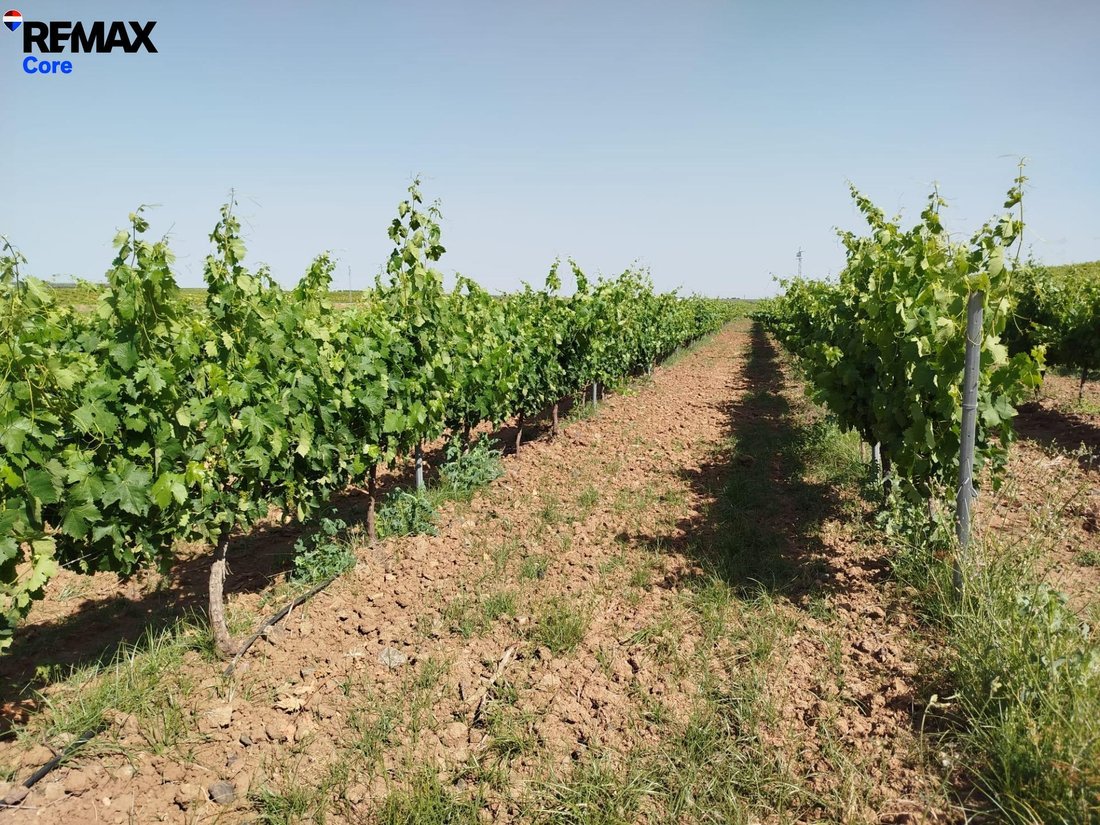 Land in Badajoz, Extremadura, Spain 2 - 17982028