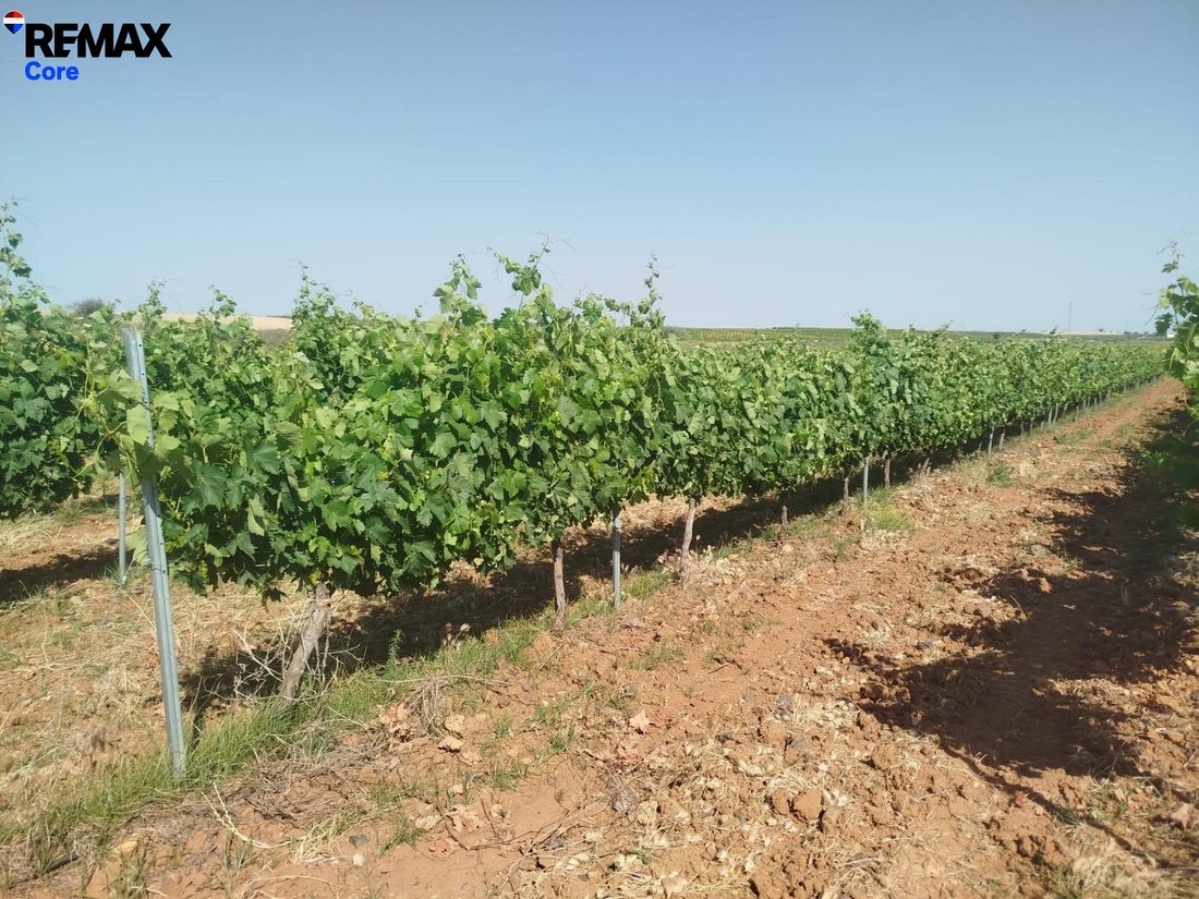 Land in Badajoz, Extremadura, Spain 4 - 17982028