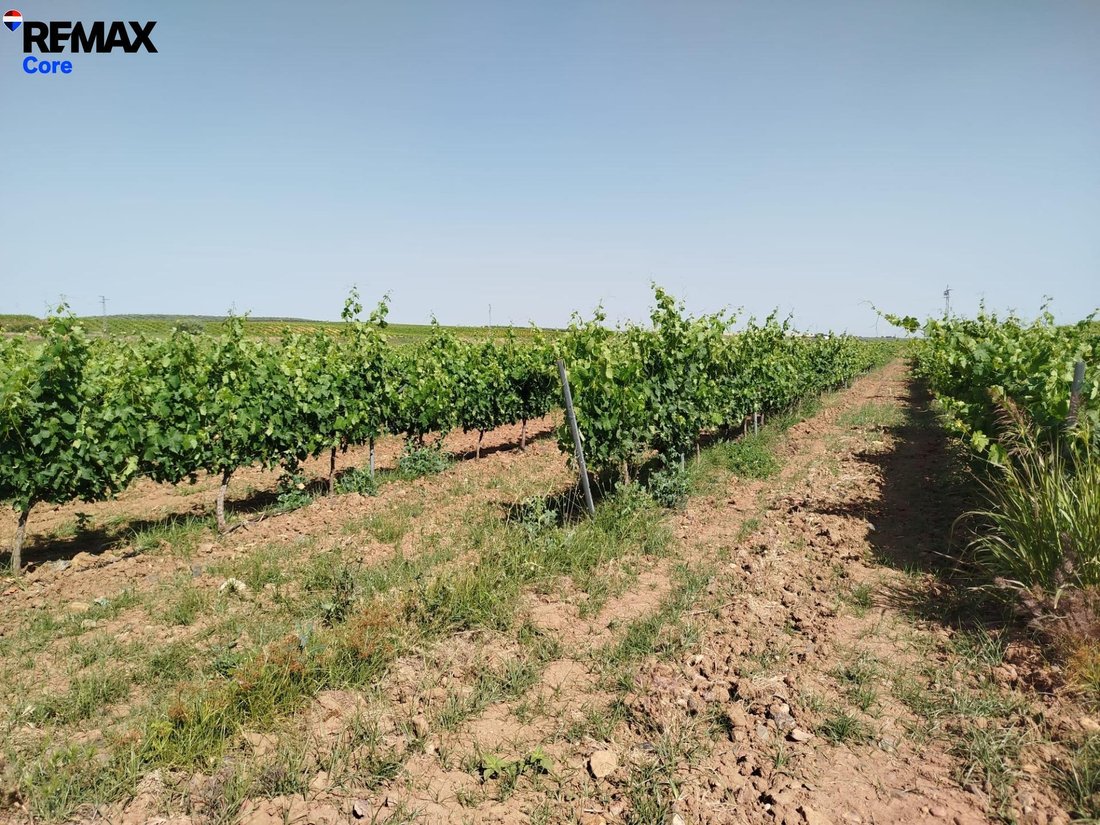 Land in Badajoz, Extremadura, Spain 5 - 17982028