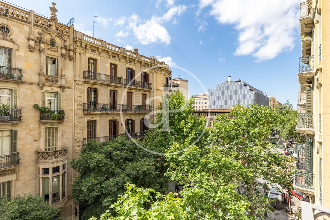 Apartment in Eixample, Barcelona, Spain 5 - 17982551