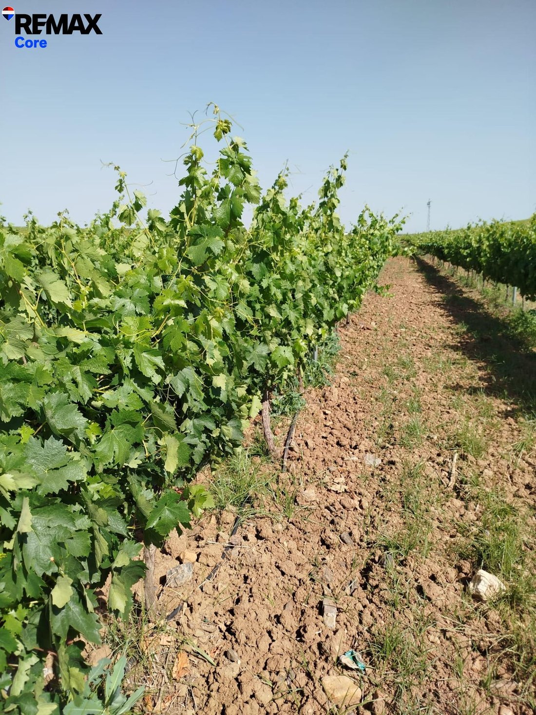 Land in Badajoz, Extremadura, Spain 1 - 17982028