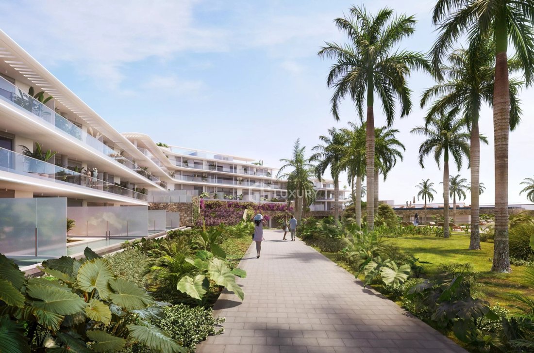 Apartment in Guia de Isora, Canary Islands, Spain 3 - 17982528