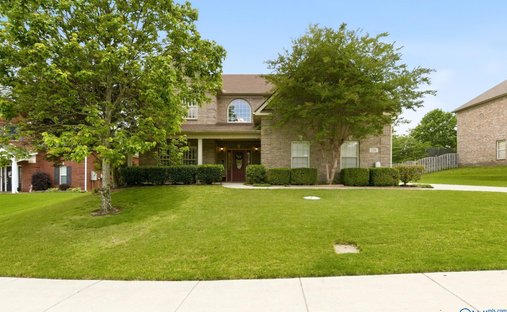 House in Madison, Alabama, United States 1