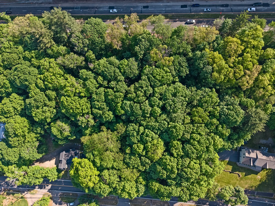 Land in Randolph, New Jersey, United States 4 - 17982756