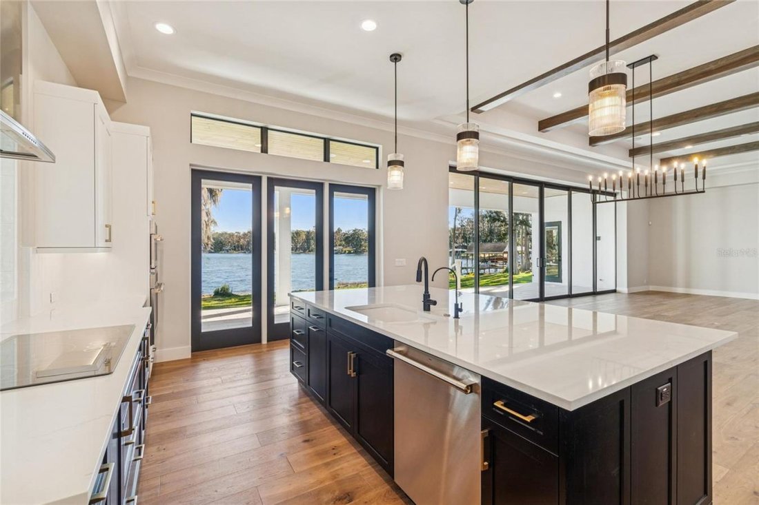 House in Odessa, Florida, United States 5 - 17982779