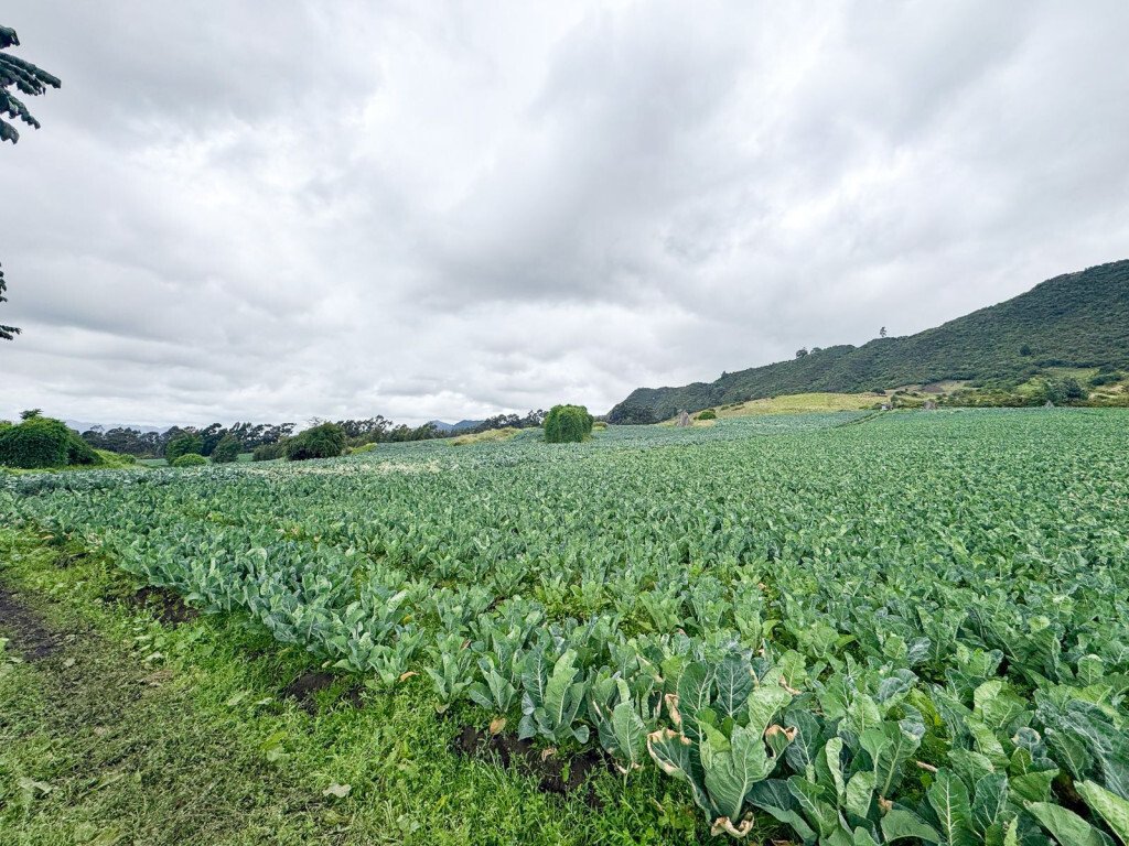 Finca in Tabio, Cundinamarca, Colombia 1 - 17982808