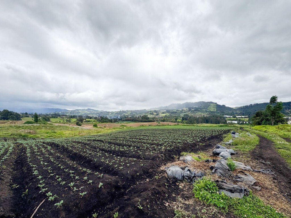 Finca in Tabio, Cundinamarca, Colombia 4 - 17982808