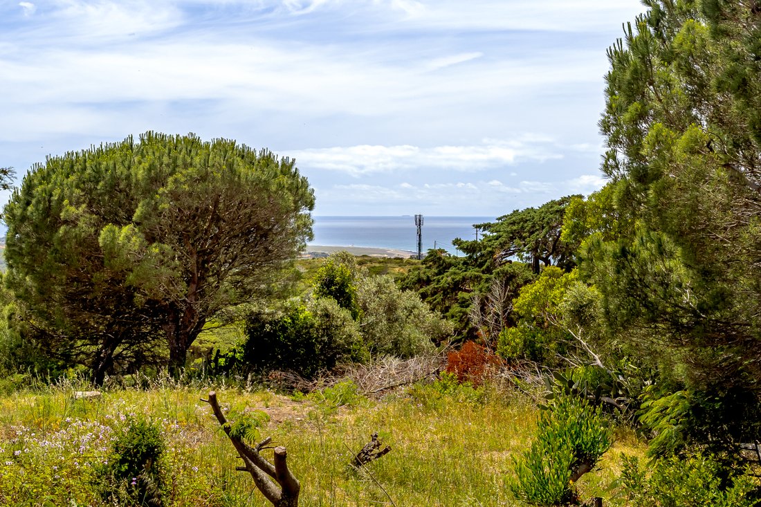 Land in Alcabideche, Lisbon, Portugal 2 - 17983011