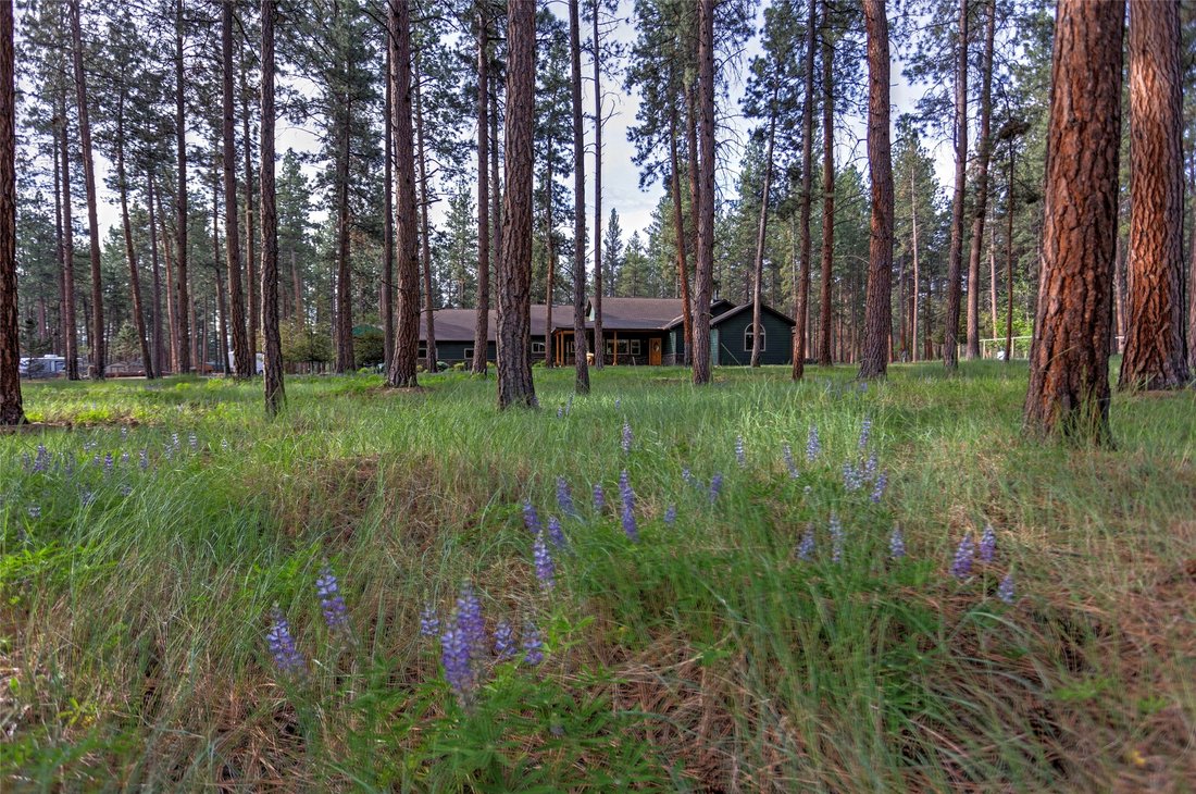 House in Hamilton, Montana, United States 3 - 17964896