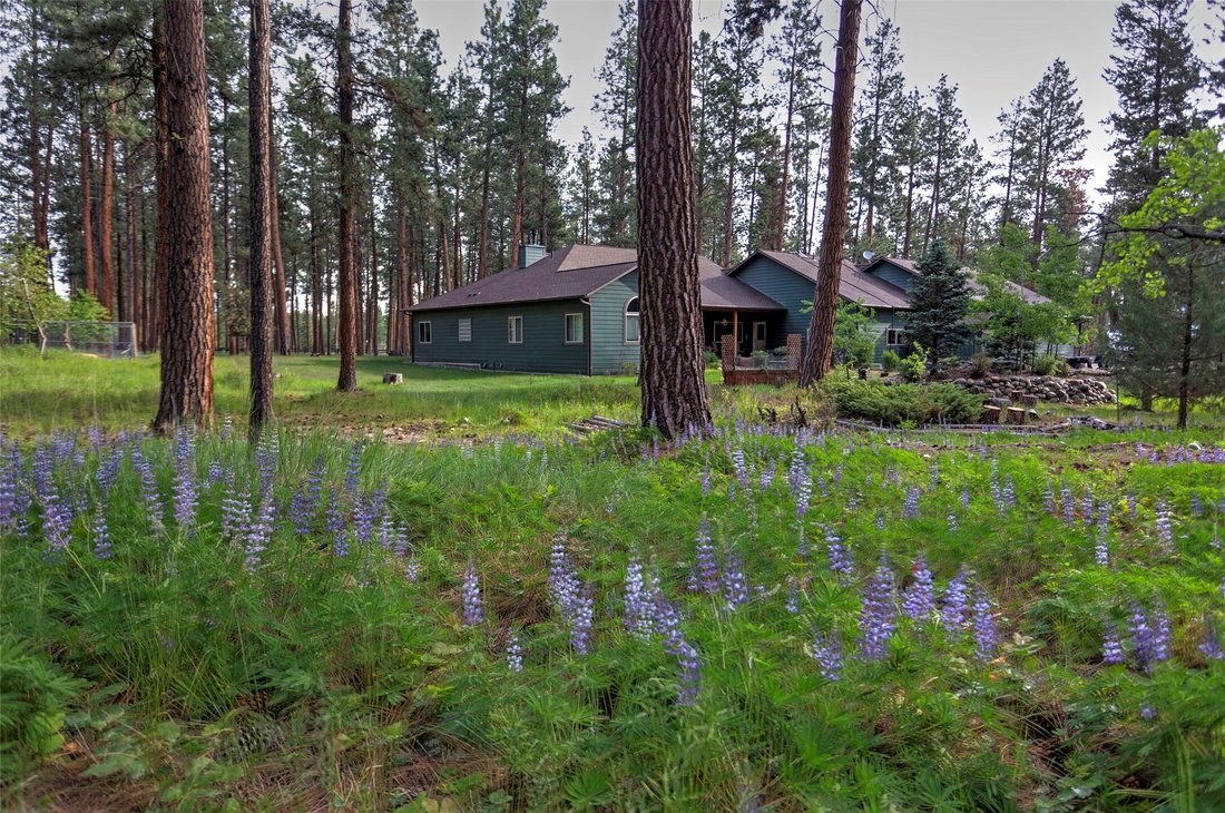 House in Hamilton, Montana, United States 5 - 17964896