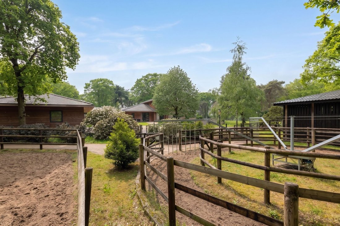 House in Veghel, North Brabant, Netherlands 5 - 17982987