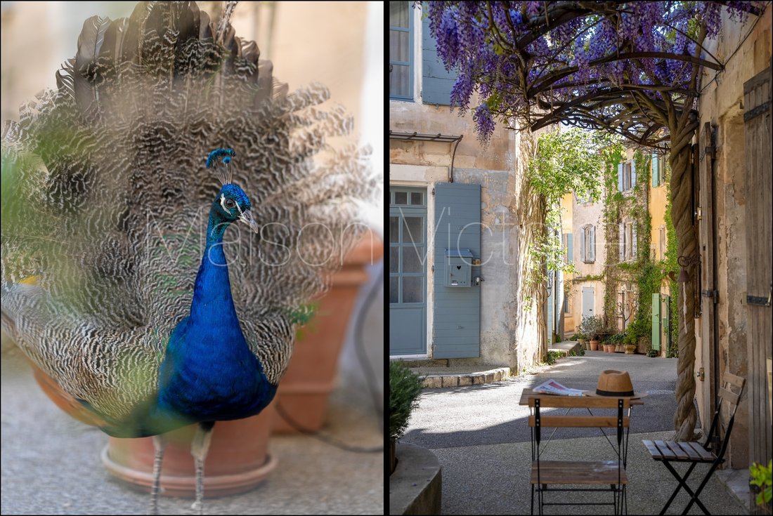 House in Goult, Provence-Alpes-Côte d'Azur, France 2 - 17303078