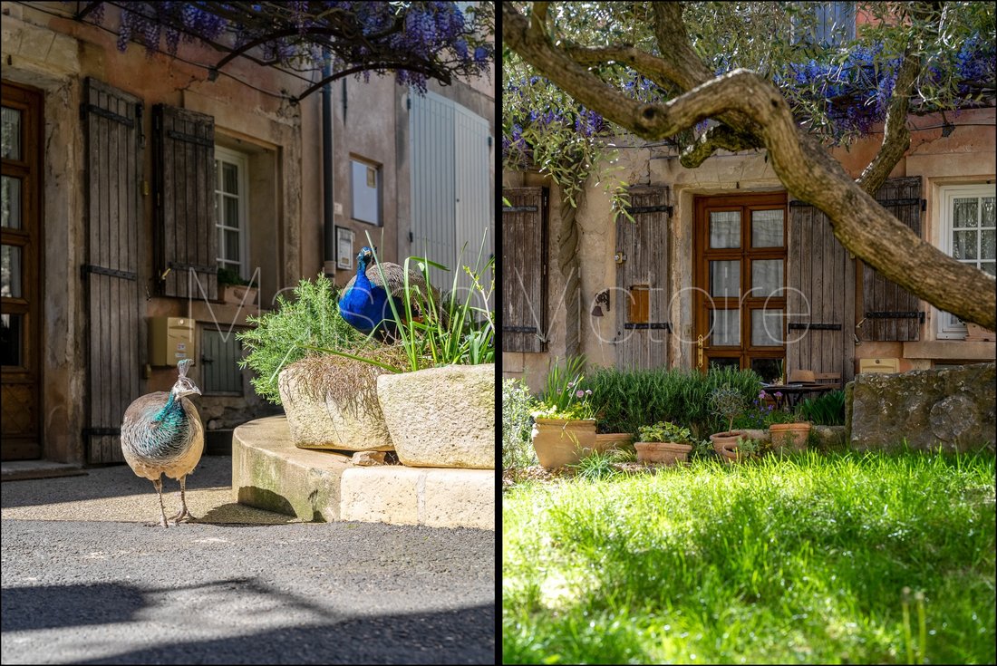 House in Goult, Provence-Alpes-Côte d'Azur, France 4 - 17303078