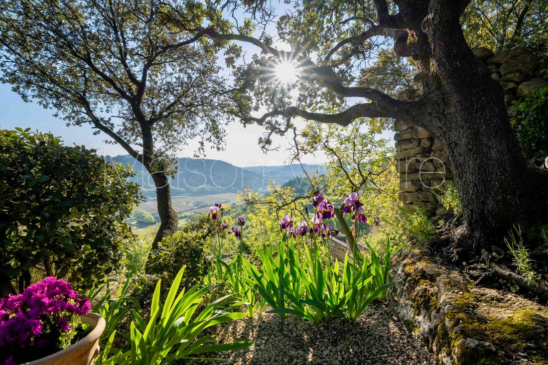 House in Ménerbes, Provence-Alpes-Côte d'Azur, France 3 - 17303166