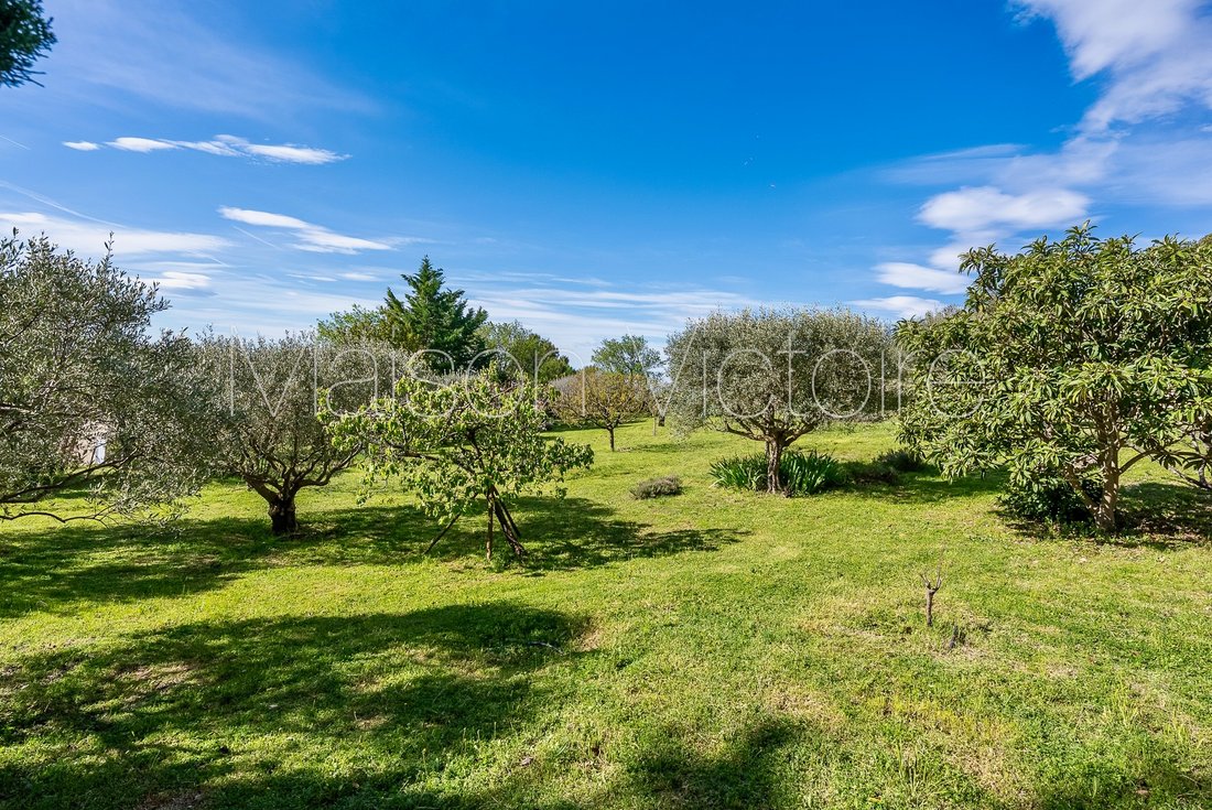 House in Caromb, Provence-Alpes-Côte d'Azur, France 5 - 17303170